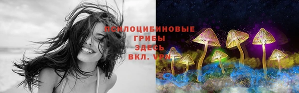 mdpv Покров