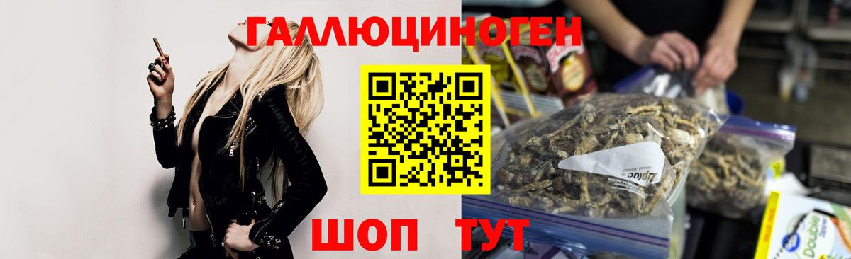Псилоцибиновые грибы Psilocybine cubensis  Вход с VPN  Великий Новгород 